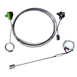    偠t�t�ڟ��ż